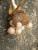 Img.VTax3578.Ex1.Img2