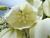 Img.VTax3602.Ex1.Img1