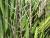 Img.VTax3602.Ex2.Img2