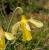 Img.VTax3607.Ex1.Img1