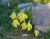 Img.VTax3607.Ex1.Img3