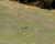 Img.VTax3607.Ex1.Img4