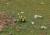 Img.VTax3607.Ex1.Img5