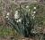 Img.VTax3610.Ex1.Img1