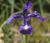 Img.VTax3619.Ex2.Img1