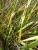 Img.VTax3621.Ex2.Img1