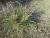 Img.VTax3621.Ex2.Img5