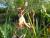 Img.VTax3622.Ex1.Img5