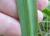 Img.VTax3622.Ex1.Img7