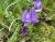 Img.VTax3627.Ex1.Img1
