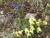 Img.VTax3627.Ex1.Img2