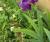 Img.VTax3628.Ex1.Img1
