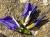 Img.VTax3628.Ex1.Img3