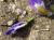 Img.VTax3628.Ex1.Img4