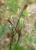 Img.VTax3653.Ex1.Img1