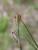 Img.VTax3653.Ex1.Img3