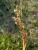 Img.VTax3658.Ex1.Img1