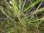 Img.VTax3658.Ex1.Img2