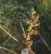 Img.VTax3658.Ex1.Img3