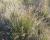 Img.VTax3658.Ex1.Img4
