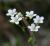Img.VTax366.Ex1.Img1