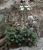 Img.VTax366.Ex1.Img2