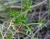Img.VTax366.Ex2.Img1