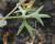 Img.VTax366.Ex2.Img3