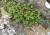 Img.VTax366.Ex3.Img1