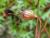 Img.VTax366.Ex3.Img2