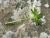 Img.VTax366.Ex3.Img3