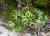 Img.VTax366.Ex3.Img4