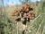 Img.VTax3660.Ex1.Img1