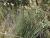 Img.VTax3660.Ex1.Img5