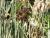 Img.VTax3660.Ex1.Img6