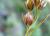 Img.VTax3687.Ex2.Img3