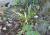 Img.VTax3687.Ex2.Img4