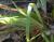 Img.VTax3687.Ex2.Img5