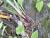 Img.VTax3687.Ex2.Img6