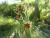 Img.VTax3695.Ex3.Img1