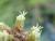 Img.VTax3695.Ex3.Img3