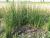 Img.VTax3695.Ex4.Img1