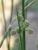 Img.VTax3695.Ex4.Img2