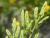 Img.VTax37.Ex3.Img2