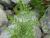 Img.VTax37.Ex3.Img3