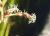 Img.VTax3707.Ex2.Img2