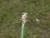 Img.VTax3715.Ex1.Img1