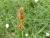 Img.VTax3749.Ex1.Img1