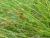 Img.VTax3749.Ex1.Img2
