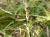 Img.VTax3761.Ex3.Img1